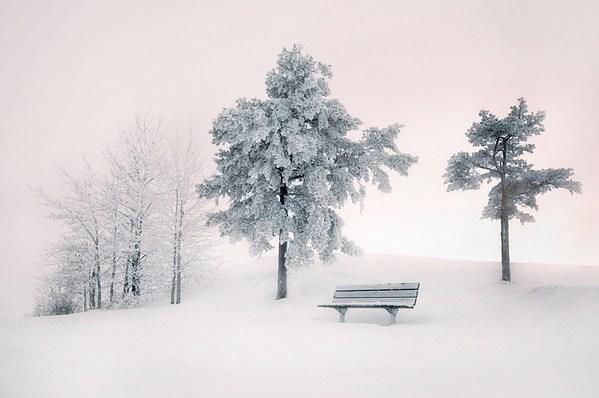 描写冬天雪景的诗句15首，带你赏诗意雪景