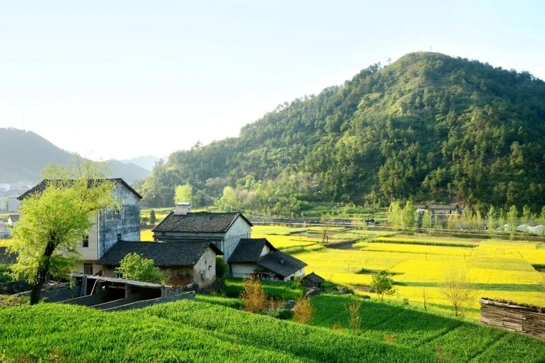 写春景的诗句10首，唯美了整个春天