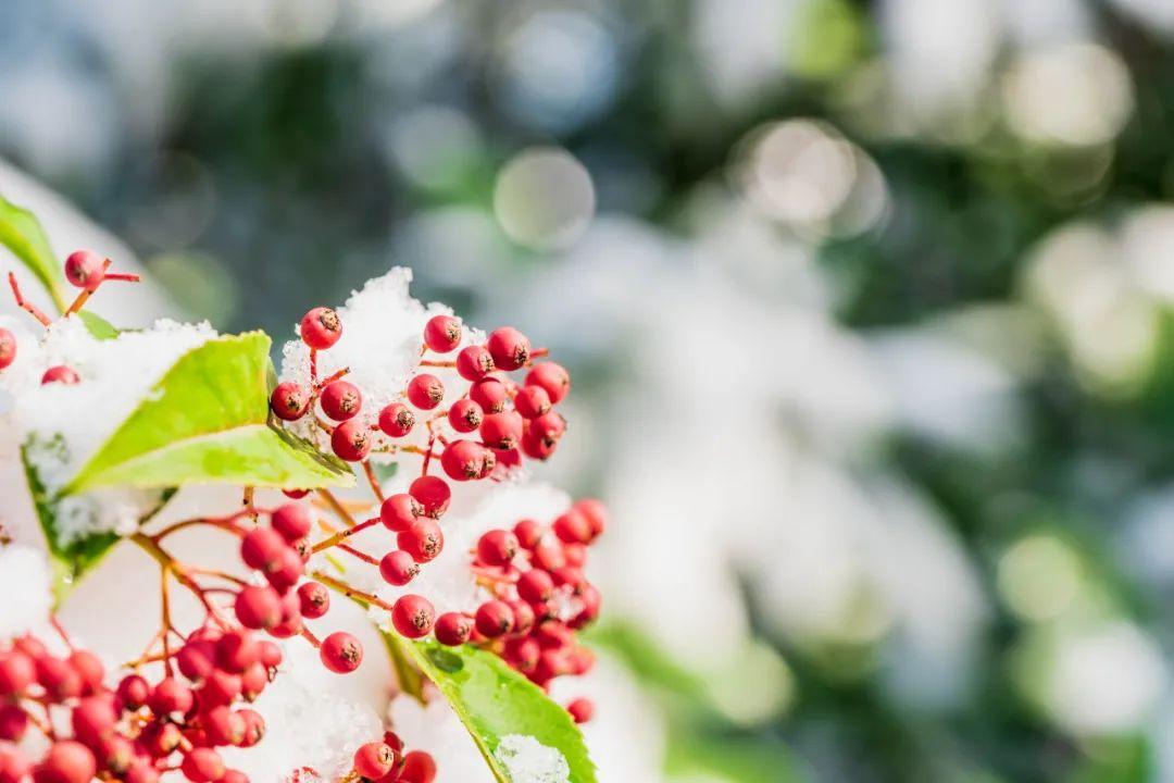 冬至诗20首，带来季节流转的美好