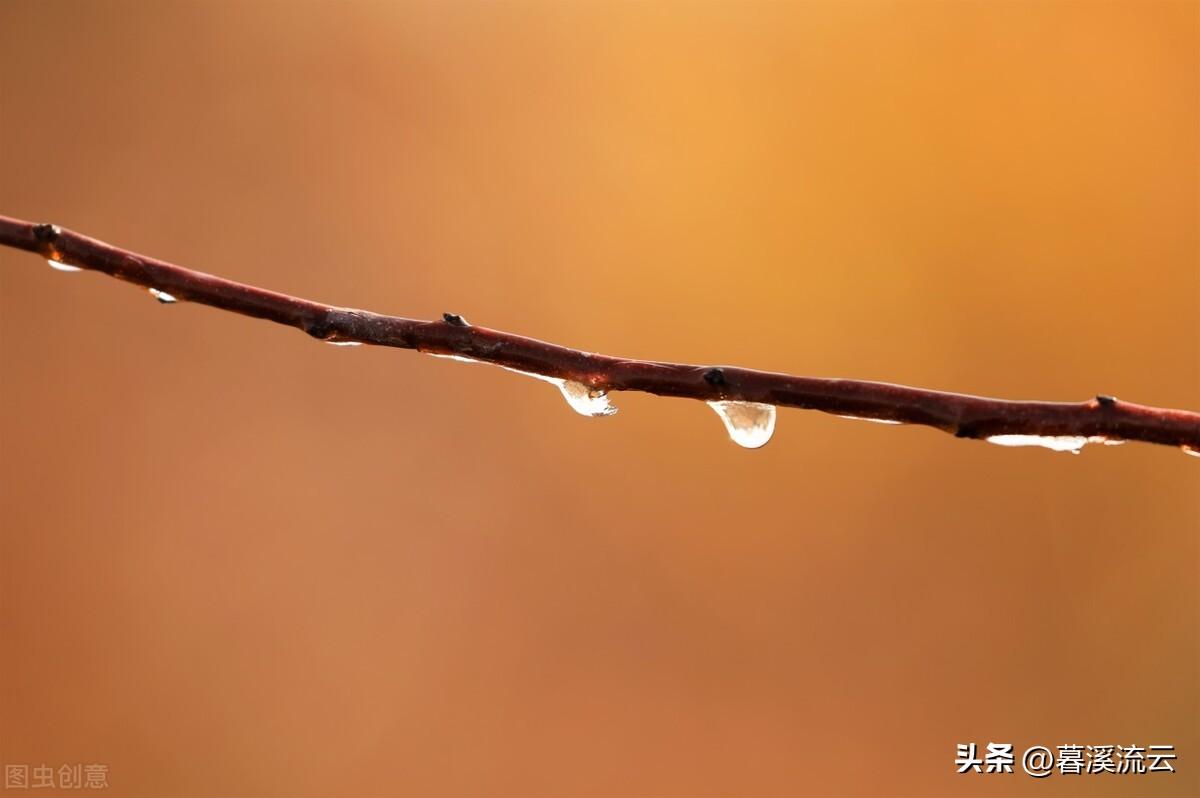 寒露唯美诗词10首，人间秋晚，愿君珍重