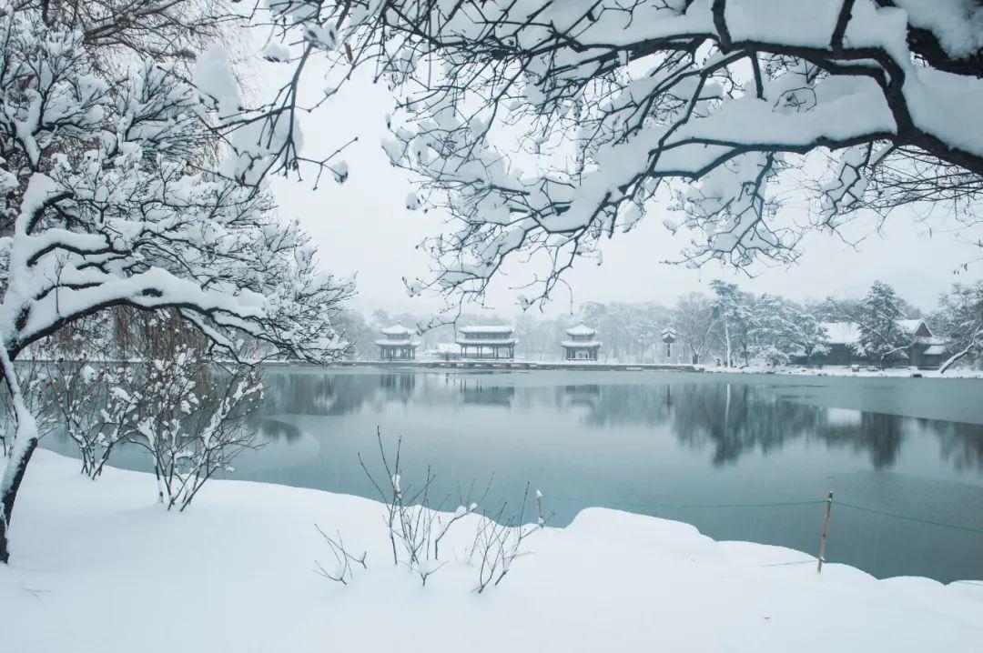 写雪的诗12句，治愈了整个冬天