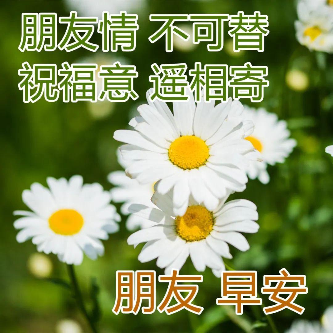 早上好每天祝福语，非常实用的早上好祝福句子