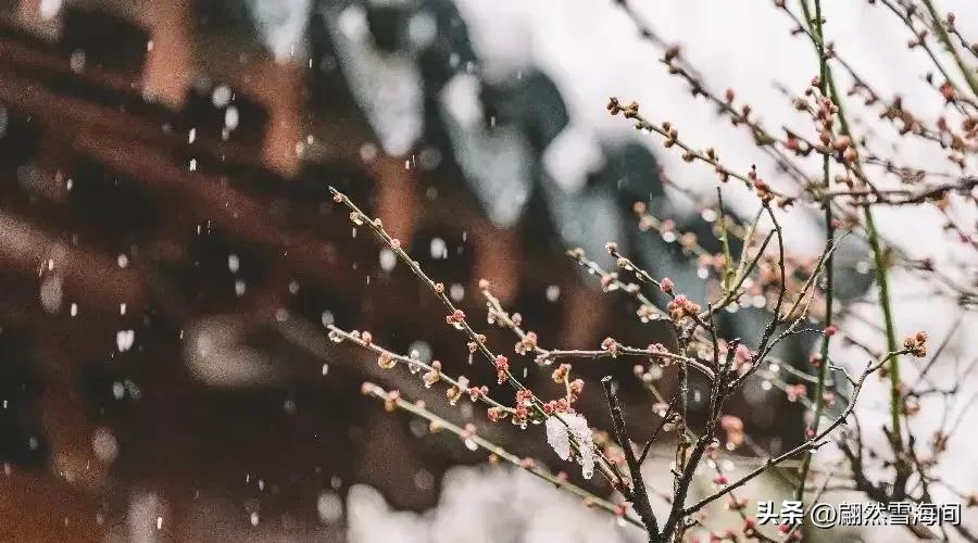 雪花的诗句25句，写尽雪之美