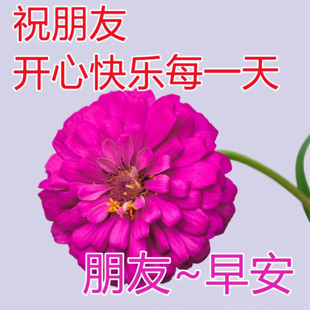 早上好每天祝福语，非常实用的早上好祝福句子