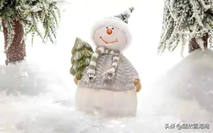 雪花的诗句25句，写尽雪之美