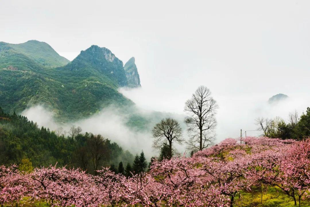 四月的诗句10首，最美人间四月天