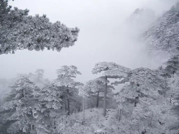 雪景诗句15句，雪晴云淡日光寒