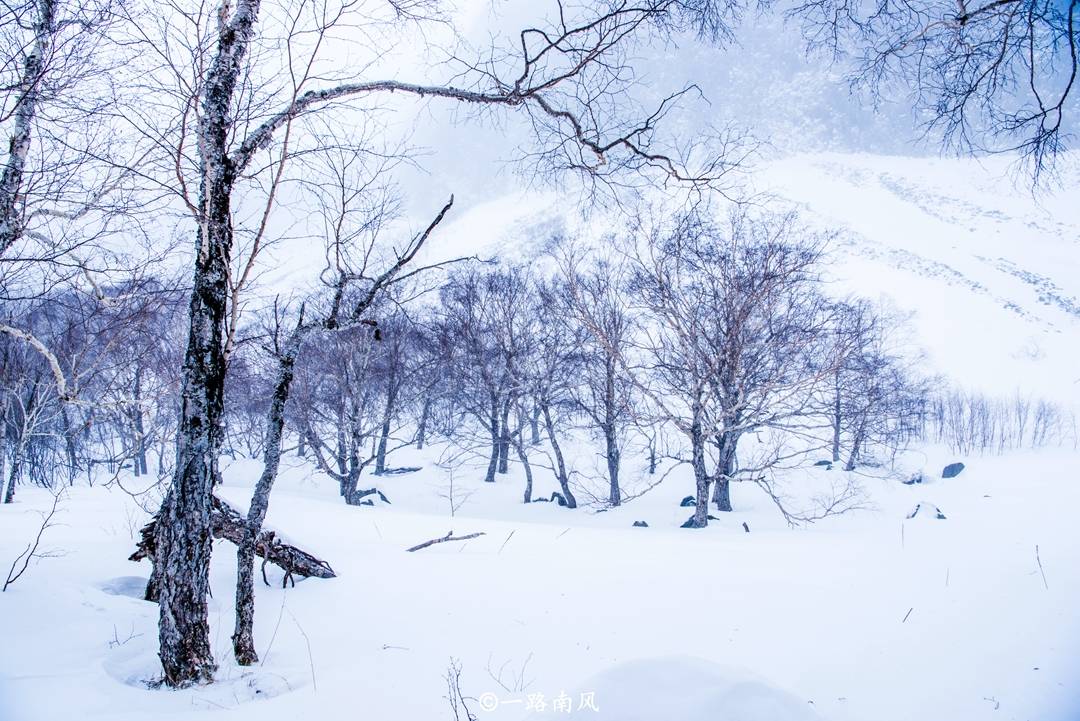 初雪的诗句15首，为怜初雪漫题诗