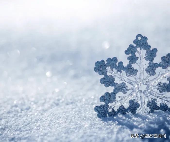 雪花的诗句25句，写尽雪之美