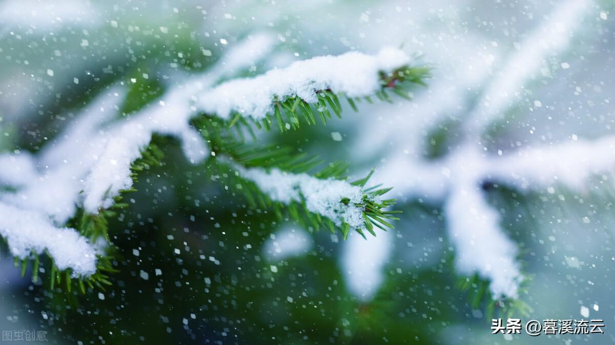 立冬的诗10首，黄花带露，细雨生寒